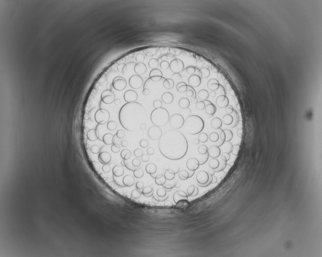 X0000116271432201001111005
