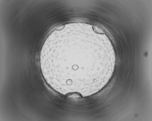 X0000116271433201001111005