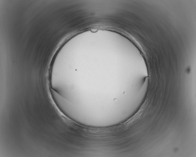X0000116271434201001111005