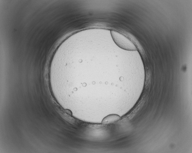 X0000116271435201001111005