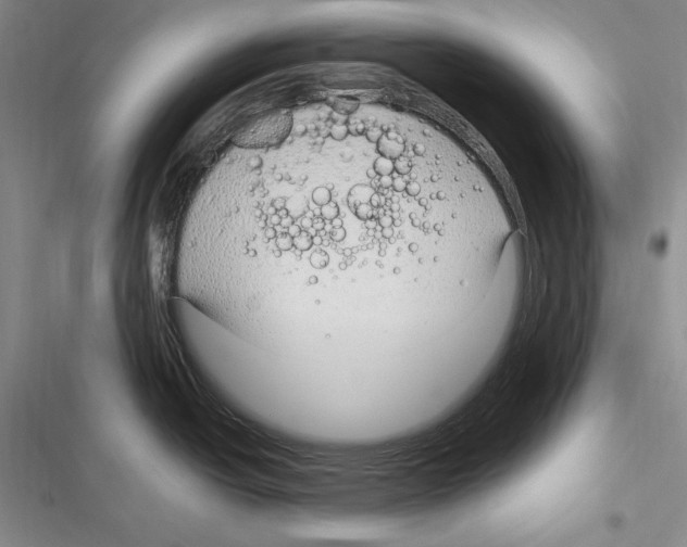 X0000116271438201001111005