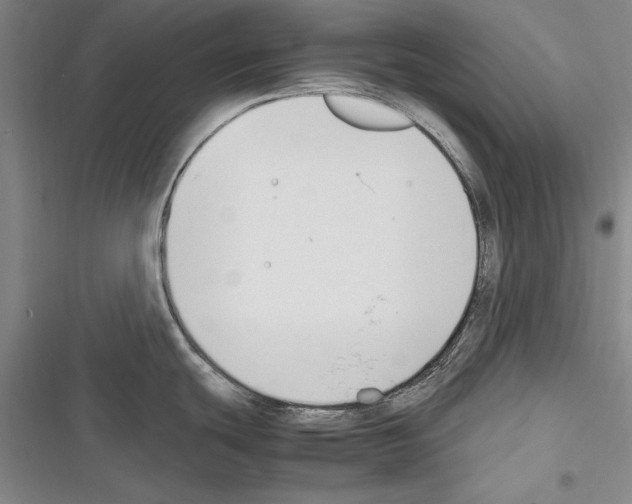 X0000116271439201001111005