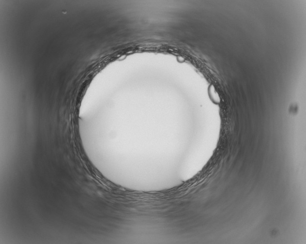 X0000116271445201001111004