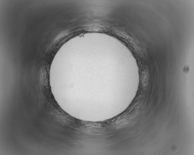 X0000116271446201001111004