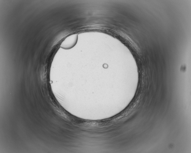 X0000116271450201001111004