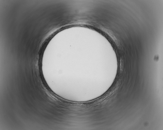 X0000116271452201001111004