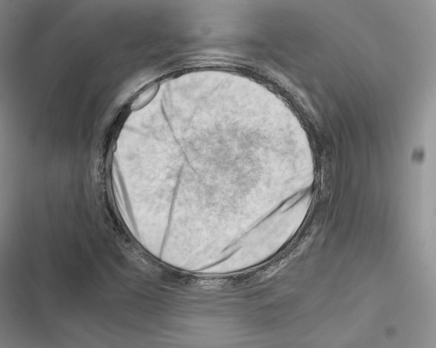 X0000116271453201001111004