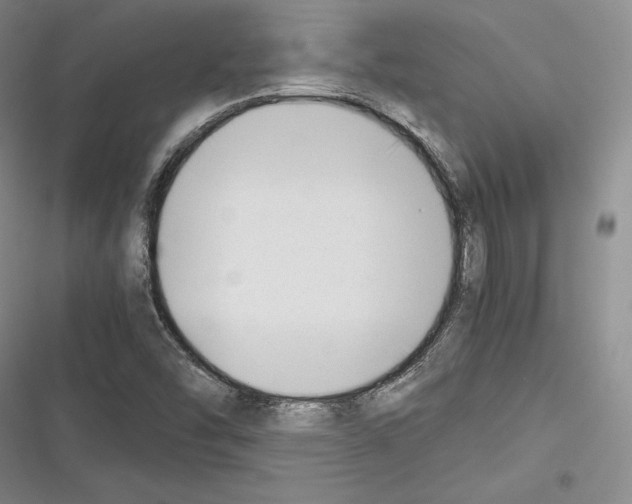 X0000116271454201001111004