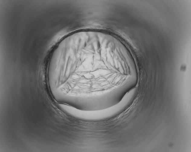 X0000116271455201001111004
