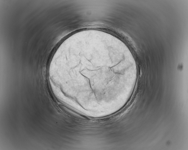 X0000116271457201001111004