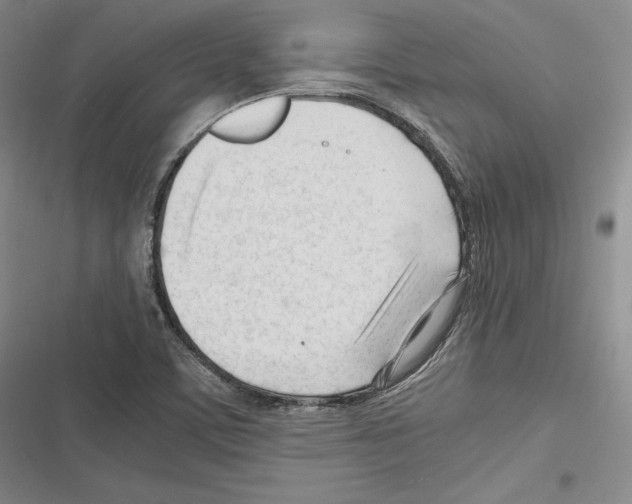 X0000116271459201001111004