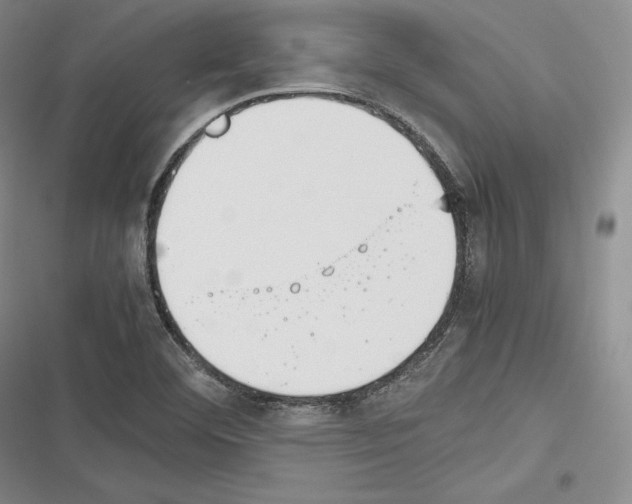 X0000116271460201001111004