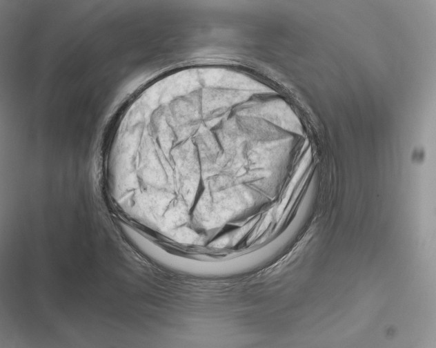 X0000116271461201001111004
