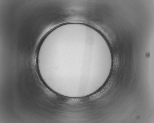 X0000116271462201001111004