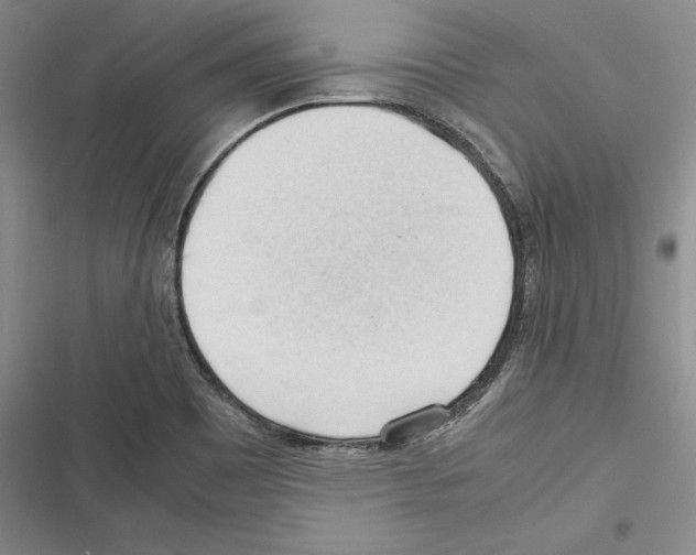 X0000116271465201001111004