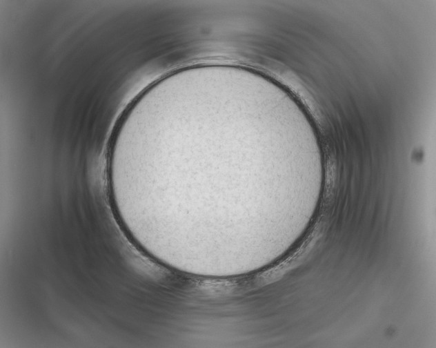 X0000116271466201001111004