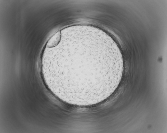 X0000116271467201001111004