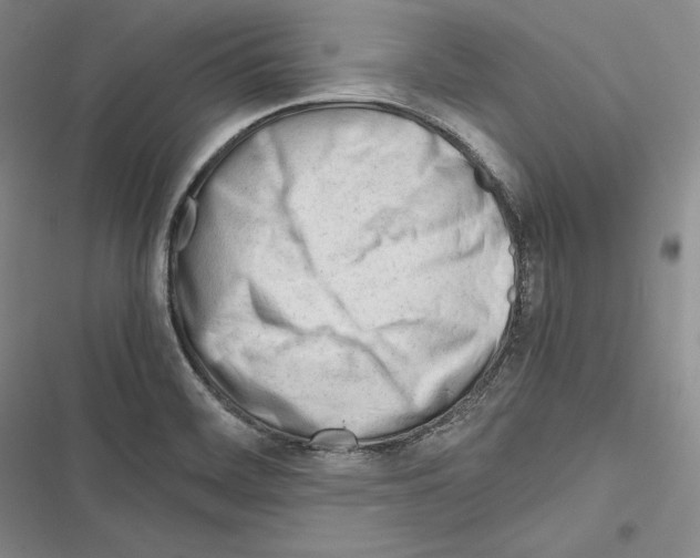 X0000116271468201001111004