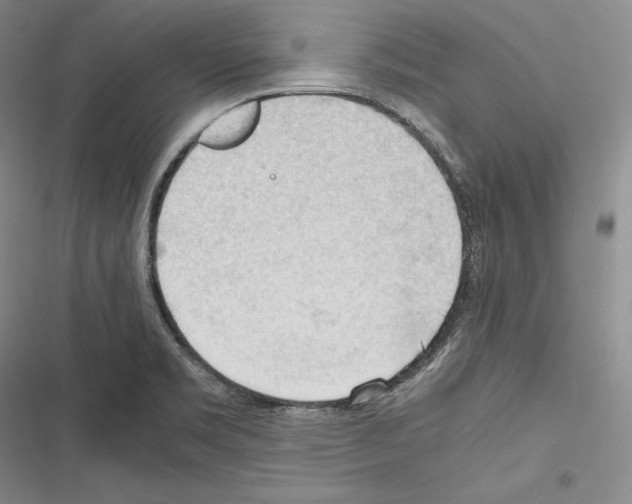 X0000116271469201001111004