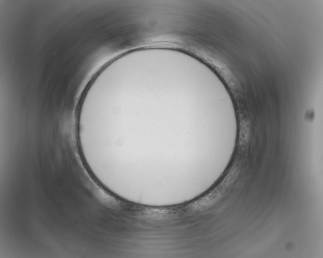 X0000116271470201001111004