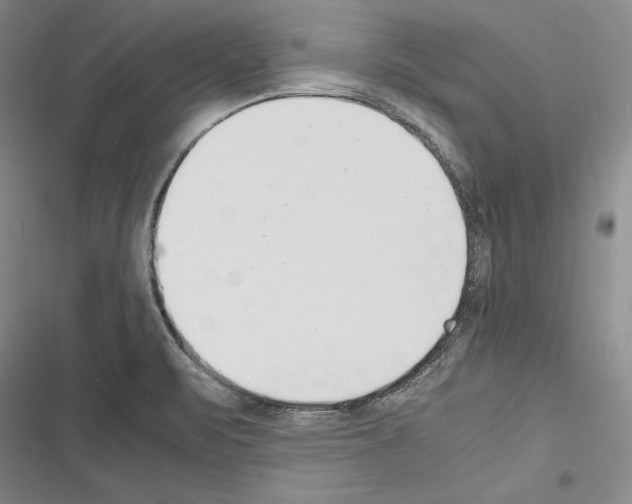 X0000116271471201001111004