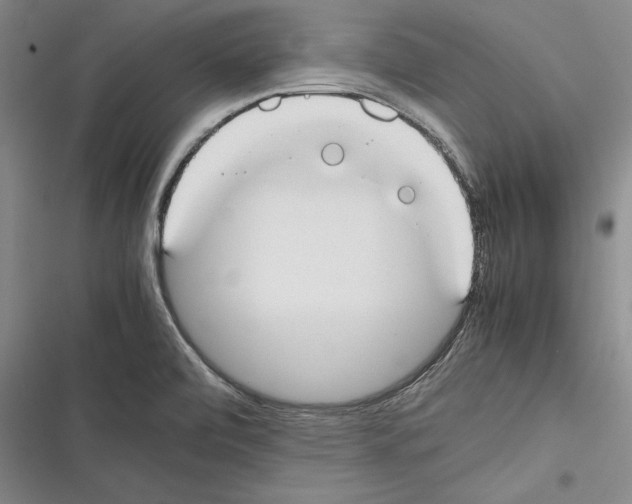 X0000116271472201001111004