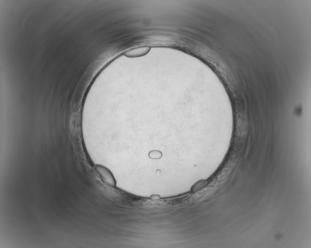 X0000116271473201001111004