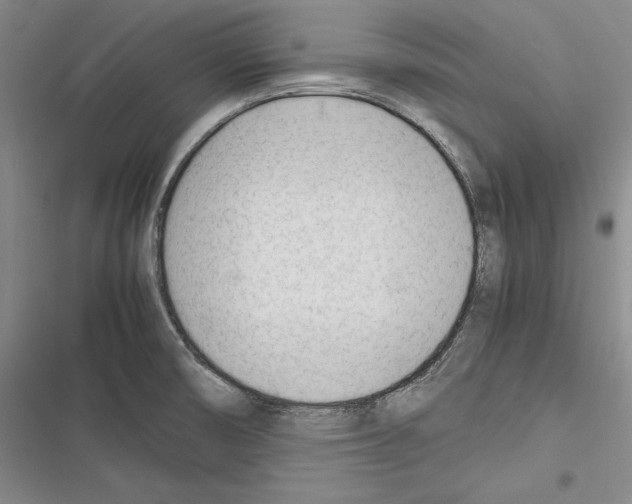 X0000116271474201001111004