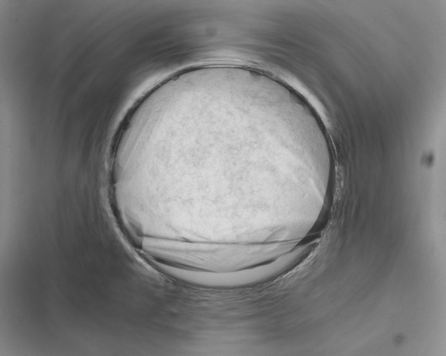 X0000116271477201001111004