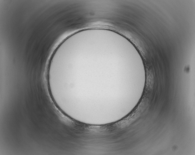 X0000116271478201001111004