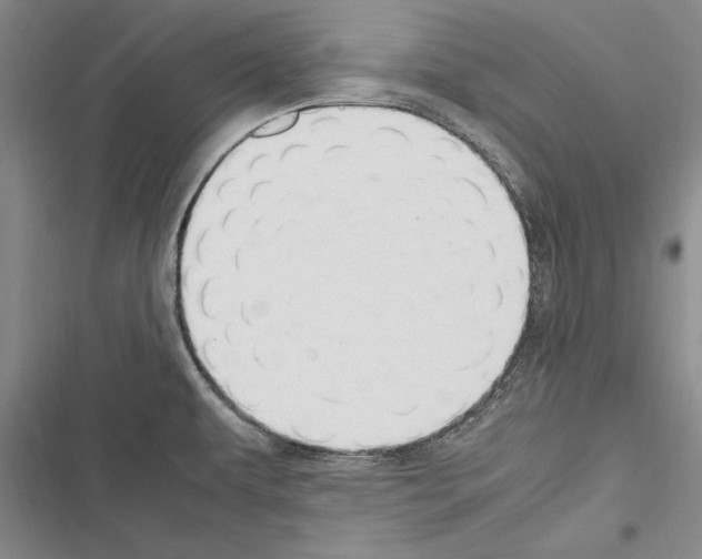 X0000116271479201001111004