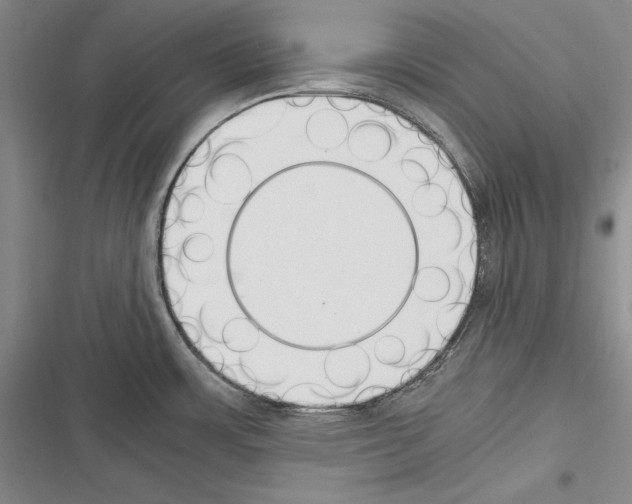 X0000116271483201001111004