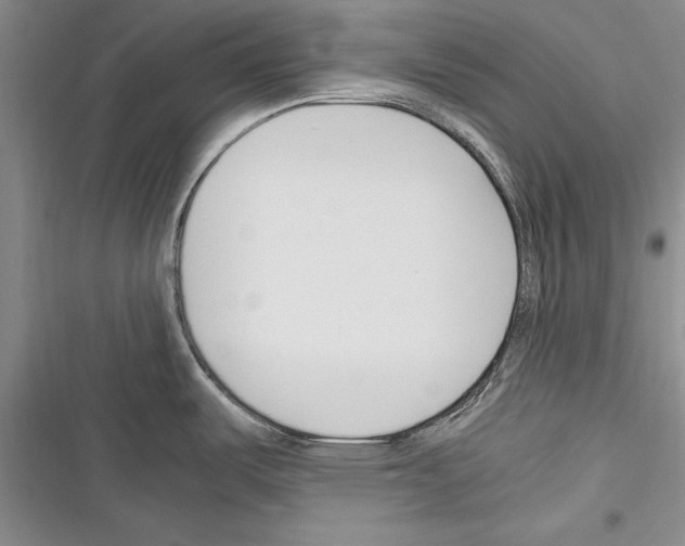X0000116271487201001111004