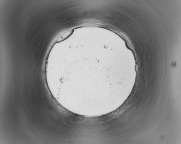 X0000116271488201001111004