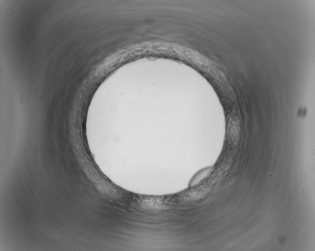 X0000116271489201001111003