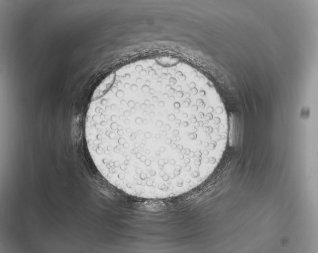 X0000116271491201001111003
