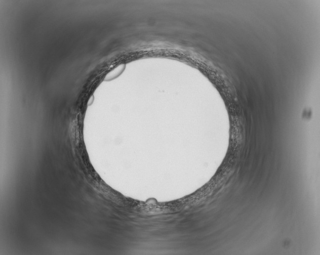 X0000116271493201001111003