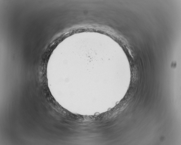 X0000116271494201001111003