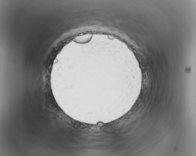 X0000116271495201001111003