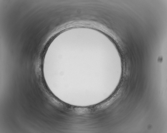 X0000116271498201001111003