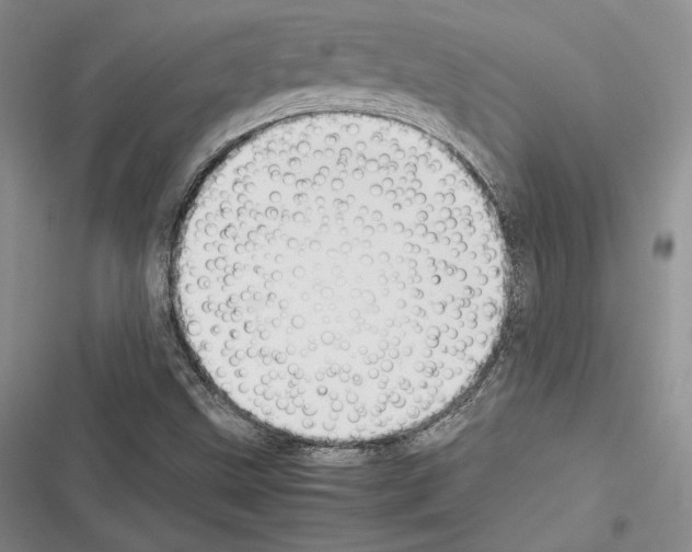 X0000116271499201001111003