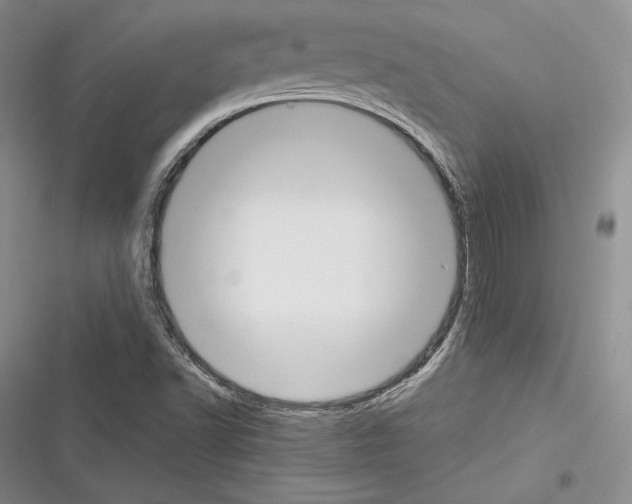X0000116271502201001111003