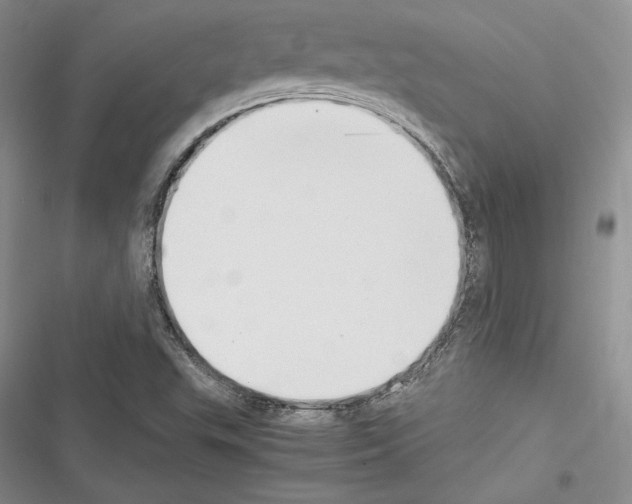 X0000116271503201001111003