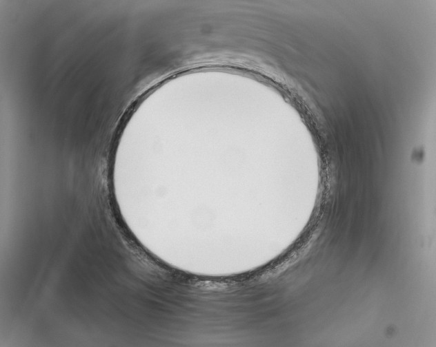 X0000116271505201001111003