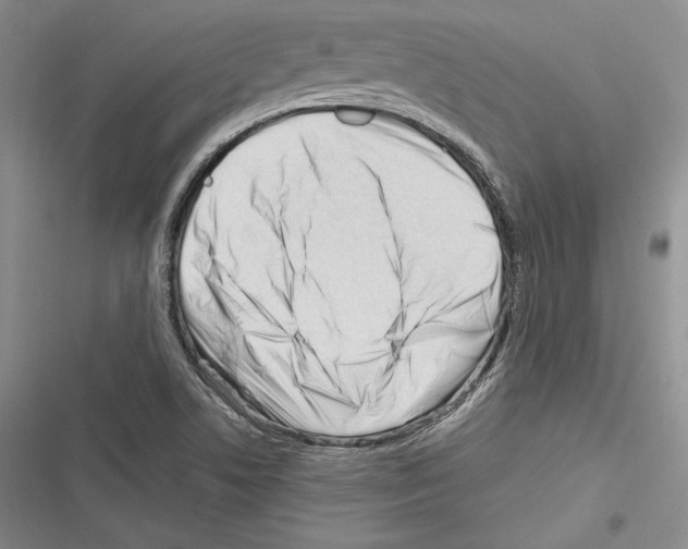 X0000116271506201001111003