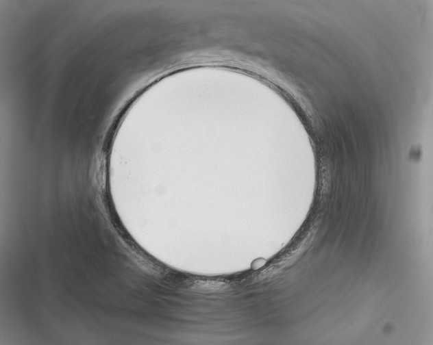 X0000116271509201001111003