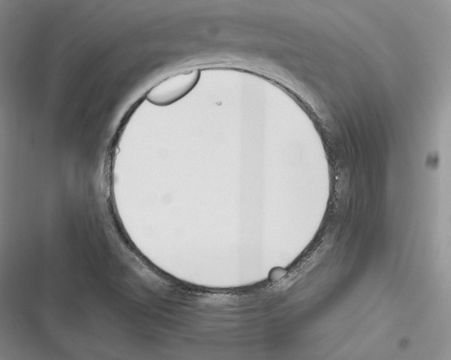 X0000116271510201001111003