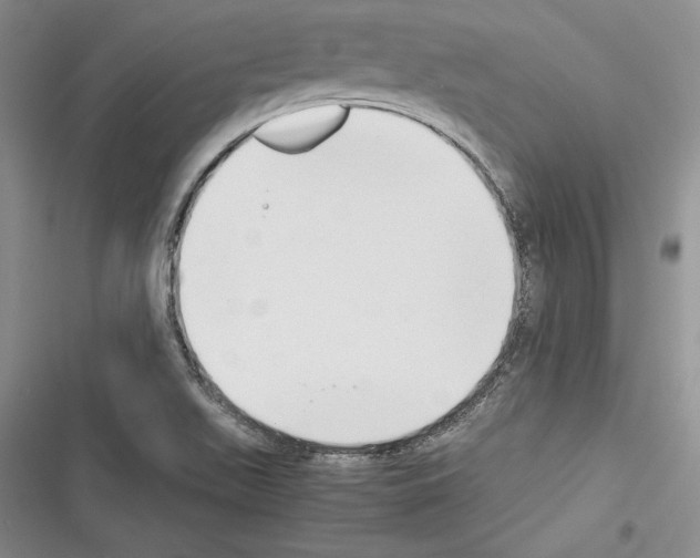 X0000116271511201001111003