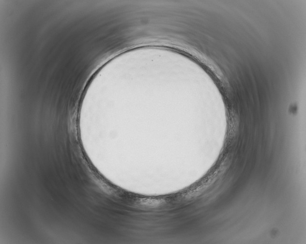 X0000116271513201001111003