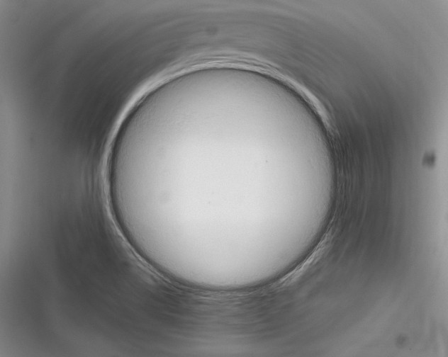 X0000116271514201001111003